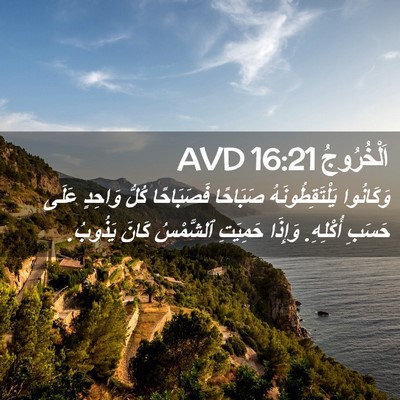 Picture 02 - اَلْخُرُوجُ 16:21 AVD - وَكَانُوا يَلْتَقِطُونَهُ - Bible Verse Picture