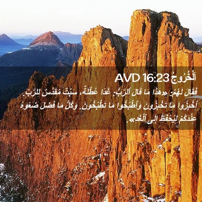 Picture 02 - اَلْخُرُوجُ 16:23 AVD - فَقَالَ لَهُمْ: «هَذَا مَا - Bible Verse Picture