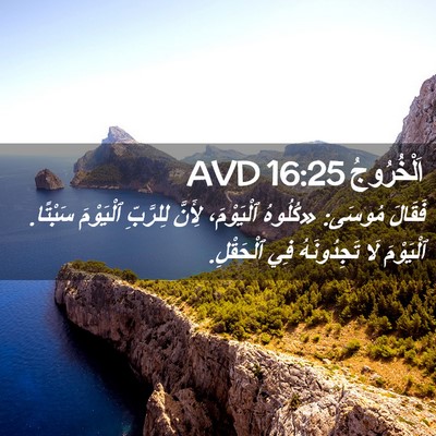 Picture 02 - اَلْخُرُوجُ 16:25 AVD - فَقَالَ مُوسَى: «كُلُوهُ - Bible Verse Picture