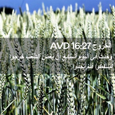 Picture 02 - اَلْخُرُوجُ 16:27 AVD - وَحَدَثَ فِي ٱلْيَوْمِ - Bible Verse Picture