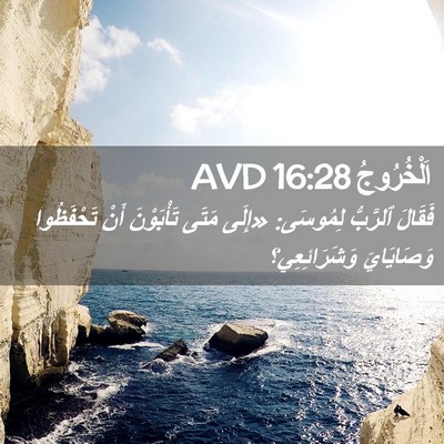 Picture 02 - اَلْخُرُوجُ 16:28 AVD - فَقَالَ ٱلرَّبُّ لِمُوسَى: - Bible Verse Picture