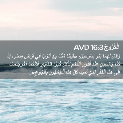 Picture 02 - اَلْخُرُوجُ 16:3 AVD - وَقَالَ لَهُمَا بَنُو - Bible Verse Picture