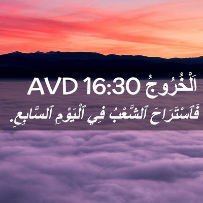 Picture 02 - اَلْخُرُوجُ 16:30 AVD - فَٱسْتَرَاحَ ٱلشَّعْبُ - Bible Verse Picture