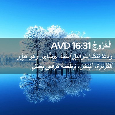Picture 02 - اَلْخُرُوجُ 16:31 AVD - وَدَعَا بَيْتُ - Bible Verse Picture