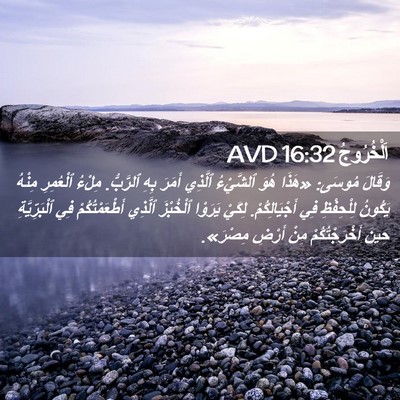 Picture 02 - اَلْخُرُوجُ 16:32 AVD - وَقَالَ مُوسَى: «هَذَا - Bible Verse Picture