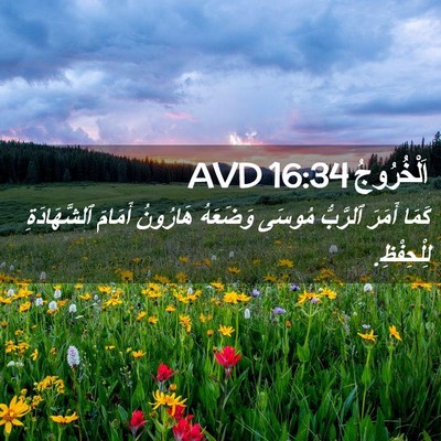 Picture 02 - اَلْخُرُوجُ 16:34 AVD - كَمَا أَمَرَ ٱلرَّبُّ - Bible Verse Picture