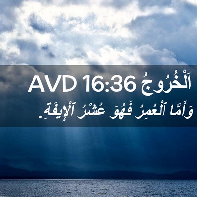 Picture 02 - اَلْخُرُوجُ 16:36 AVD - وَأَمَّا ٱلْعُمِرُ فَهُوَ - Bible Verse Picture