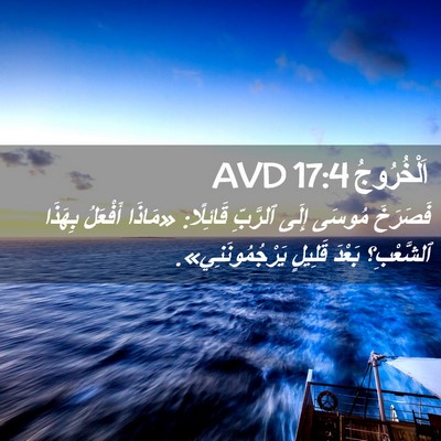 Picture 02 - اَلْخُرُوجُ 17:4 AVD - فَصَرَخَ مُوسَى إِلَى - Bible Verse Picture