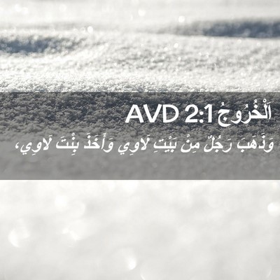 Picture 02 - اَلْخُرُوجُ 2:1 AVD - وَذَهَبَ رَجُلٌ مِنْ - Bible Verse Picture