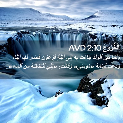 Picture 02 - اَلْخُرُوجُ 2:10 AVD - وَلَمَّا كَبِرَ ٱلْوَلَدُ - Bible Verse Picture