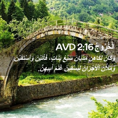 Picture 02 - اَلْخُرُوجُ 2:16 AVD - وَكَانَ لِكَاهِنِ - Bible Verse Picture