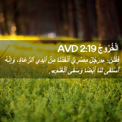 Picture 02 - اَلْخُرُوجُ 2:19 AVD - فَقُلْنَ: «رَجُلٌ - Bible Verse Picture