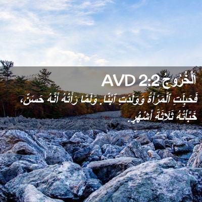 Picture 02 - اَلْخُرُوجُ 2:2 AVD - فَحَبِلَتِ ٱلْمَرْأَةُ - Bible Verse Picture