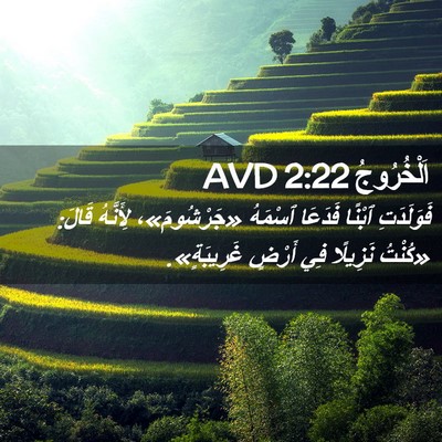 Picture 02 - اَلْخُرُوجُ 2:22 AVD - فَوَلَدَتِ ٱبْنًا فَدَعَا - Bible Verse Picture