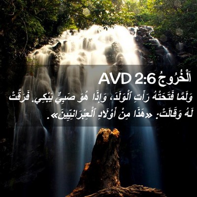Picture 02 - اَلْخُرُوجُ 2:6 AVD - وَلَمَّا فَتَحَتْهُ - Bible Verse Picture