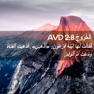 Picture 02 - اَلْخُرُوجُ 2:8 AVD - فَقَالَتْ لَهَا ٱبْنَةُ - Bible Verse Picture