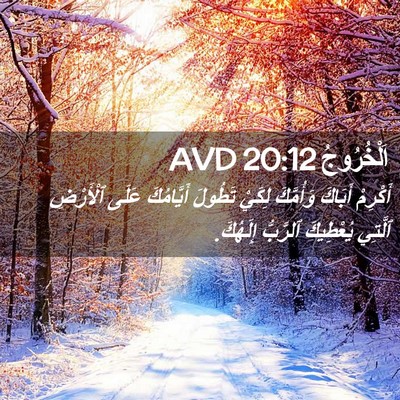 Picture 02 - اَلْخُرُوجُ 20:12 AVD - أَكْرِمْ أَبَاكَ - Bible Verse Picture