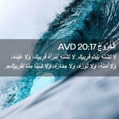 Picture 02 - اَلْخُرُوجُ 20:17 AVD - لَا تَشْتَهِ بَيْتَ - Bible Verse Picture