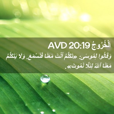 Picture 02 - اَلْخُرُوجُ 20:19 AVD - وَقَالُوا لِمُوسَى: - Bible Verse Picture