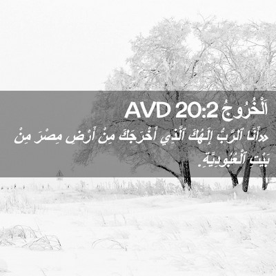 Picture 02 - اَلْخُرُوجُ 20:2 AVD - «أَنَا ٱلرَّبُّ إِلَهُكَ - Bible Verse Picture