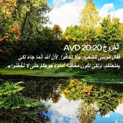 Picture 02 - اَلْخُرُوجُ 20:20 AVD - فَقَالَ مُوسَى لِلشَّعْبِ: - Bible Verse Picture