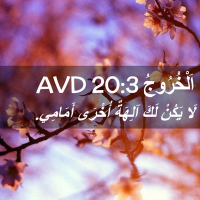 Picture 02 - اَلْخُرُوجُ 20:3 AVD - لَا يَكُنْ لَكَ آلِهَةٌ - Bible Verse Picture