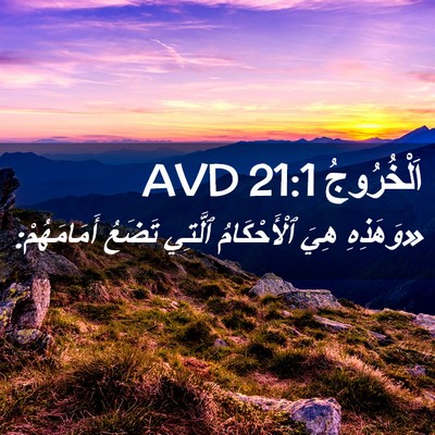 Picture 02 - اَلْخُرُوجُ 21:1 AVD - «وَهَذِهِ هِيَ - Bible Verse Picture