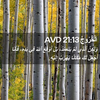 Picture 02 - اَلْخُرُوجُ 21:13 AVD - وَلَكِنَّ ٱلَّذِي لَمْ - Bible Verse Picture