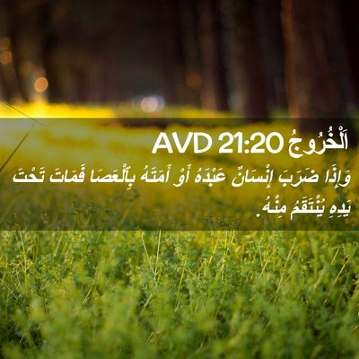Picture 02 - اَلْخُرُوجُ 21:20 AVD - وَإِذَا ضَرَبَ إِنْسَانٌ - Bible Verse Picture