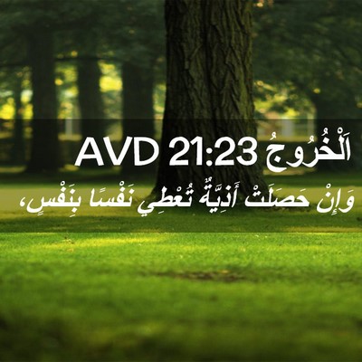 Picture 02 - اَلْخُرُوجُ 21:23 AVD - وَإِنْ حَصَلَتْ أَذِيَّةٌ - Bible Verse Picture