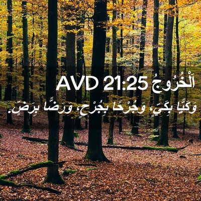 Picture 02 - اَلْخُرُوجُ 21:25 AVD - وَكَيًّا بِكَيٍّ، - Bible Verse Picture