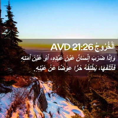 Picture 02 - اَلْخُرُوجُ 21:26 AVD - وَإِذَا ضَرَبَ إِنْسَانٌ - Bible Verse Picture
