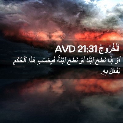 Picture 02 - اَلْخُرُوجُ 21:31 AVD - أَوْ إِذَا نَطَحَ ٱبْنًا - Bible Verse Picture