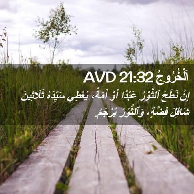 Picture 02 - اَلْخُرُوجُ 21:32 AVD - إِنْ نَطَحَ ٱلثَّوْرُ - Bible Verse Picture