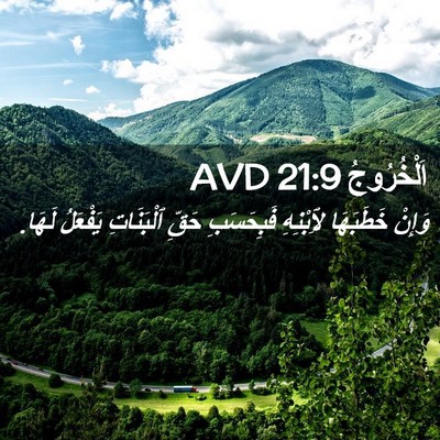 Picture 02 - اَلْخُرُوجُ 21:9 AVD - وَإِنْ خَطَبَهَا - Bible Verse Picture
