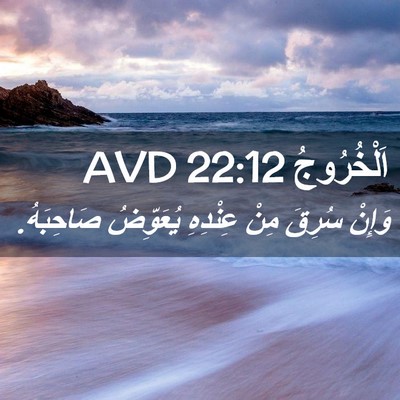 Picture 02 - اَلْخُرُوجُ 22:12 AVD - وَإِنْ سُرِقَ مِنْ - Bible Verse Picture