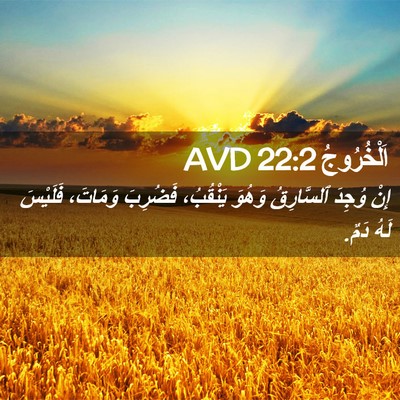 Picture 02 - اَلْخُرُوجُ 22:2 AVD - إِنْ وُجِدَ ٱلسَّارِقُ - Bible Verse Picture