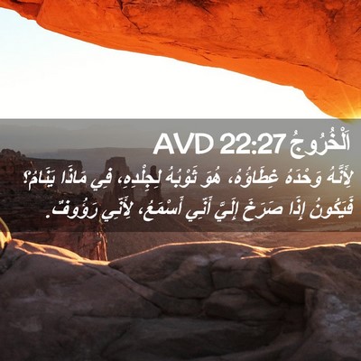 Picture 02 - اَلْخُرُوجُ 22:27 AVD - لِأَنَّهُ وَحْدَهُ - Bible Verse Picture