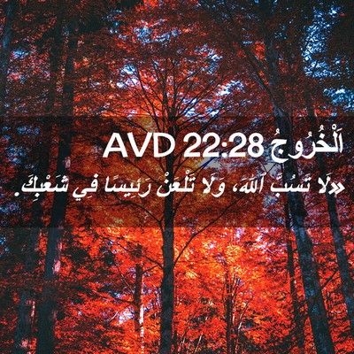 Picture 02 - اَلْخُرُوجُ 22:28 AVD - «لَا تَسُبَّ ٱللهَ، وَلَا - Bible Verse Picture