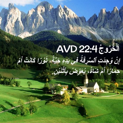 Picture 02 - اَلْخُرُوجُ 22:4 AVD - إِنْ وُجِدَتِ ٱلسَّرِقَةُ - Bible Verse Picture
