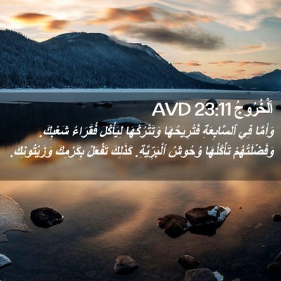 Picture 02 - اَلْخُرُوجُ 23:11 AVD - وَأَمَّا فِي ٱلسَّابِعَةِ - Bible Verse Picture