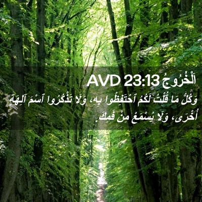 Picture 02 - اَلْخُرُوجُ 23:13 AVD - وَكُلُّ مَا قُلْتُ لَكُمُ - Bible Verse Picture