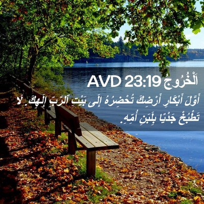 Picture 02 - اَلْخُرُوجُ 23:19 AVD - أَوَّلَ أَبْكَارِ - Bible Verse Picture
