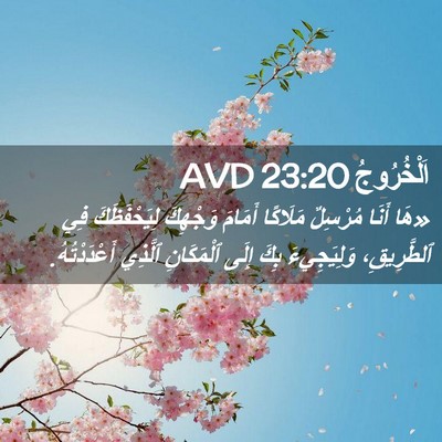 Picture 02 - اَلْخُرُوجُ 23:20 AVD - «هَا أَنَا مُرْسِلٌ - Bible Verse Picture