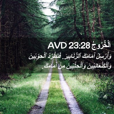 Picture 02 - اَلْخُرُوجُ 23:28 AVD - وَأُرْسِلُ أَمَامَكَ - Bible Verse Picture