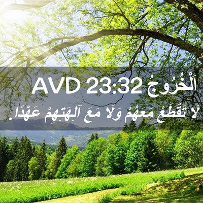 Picture 02 - اَلْخُرُوجُ 23:32 AVD - لَا تَقْطَعْ مَعَهُمْ - Bible Verse Picture