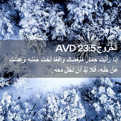 Picture 02 - اَلْخُرُوجُ 23:5 AVD - إِذَا رَأَيْتَ حِمَارَ - Bible Verse Picture