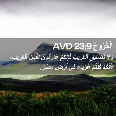 Picture 02 - اَلْخُرُوجُ 23:9 AVD - وَلَا تُضَايِقِ - Bible Verse Picture
