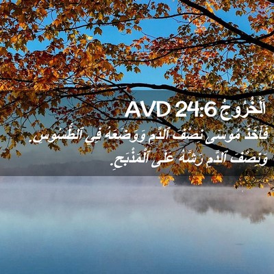 Picture 02 - اَلْخُرُوجُ 24:6 AVD - فَأَخَذَ مُوسَى نِصْفَ - Bible Verse Picture