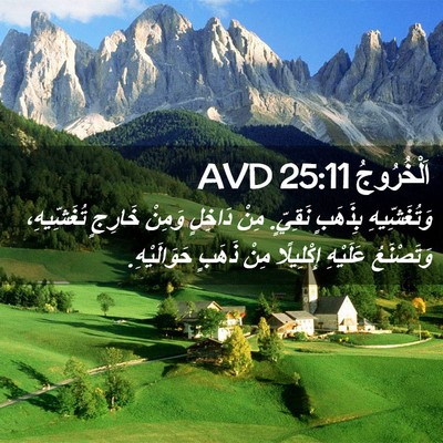 Picture 02 - اَلْخُرُوجُ 25:11 AVD - وَتُغَشِّيهِ بِذَهَبٍ - Bible Verse Picture
